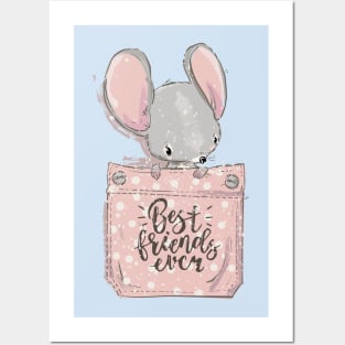 Pocket Mouse Posters and Art